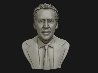 Nicolas Cage 3D printable portrait model 3D print model