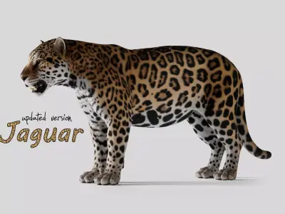 Jaguar For Production 3D model