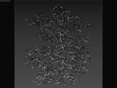 Common Plants Set Low-poly 3D model