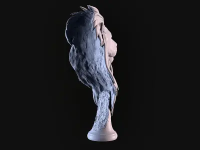 Lion Head 3D print model
