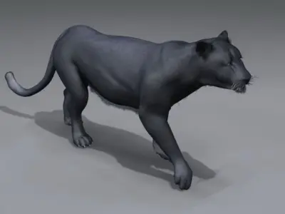 Panther 3D model