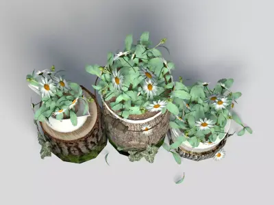 Garden Decor White Daisies 3D model