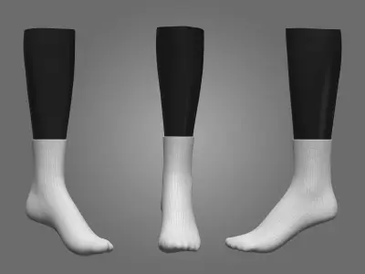 Womens Socks 3D model