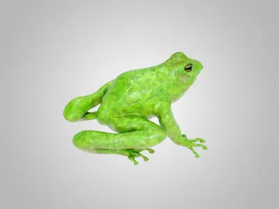 Frog Green 3D model