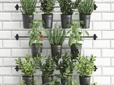 Decorative plants for the kitchen on railing 3802 3D model