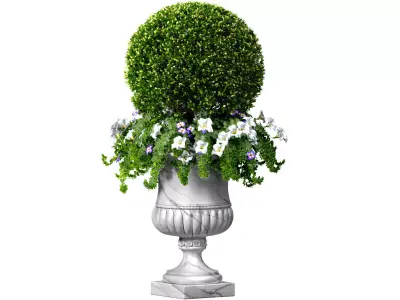 Boxwood with a flower bed in a classic garden marble vase urn 3D model