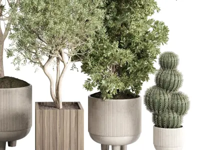 Collection indoor outdoor  plant tree vase dirty concrete 3D model