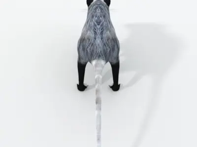 Opossum Low-poly 3D model