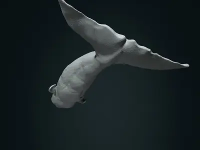 Realistic Sperm Whale High-poly  3D model