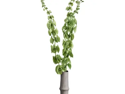 Flower In Vase 65 3D model