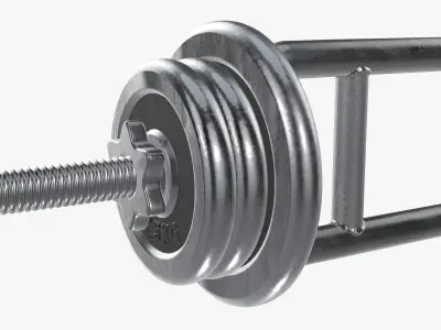Triceps weight bar and weights 3D model