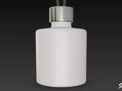 Reed Diffuser Low-poly 3D model