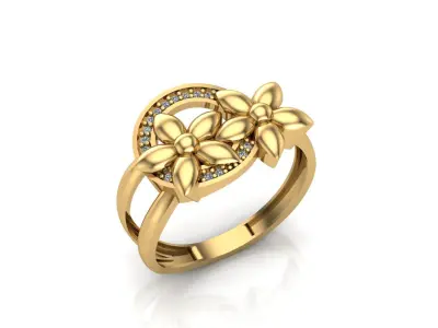 Ringe Free 3D print model