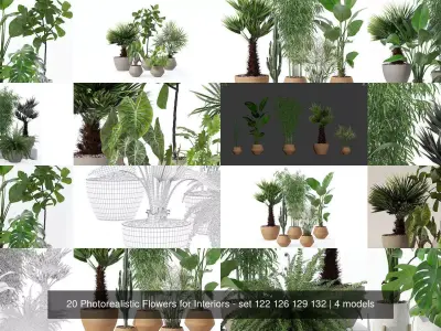 20 Photorealistic Flowers for Interiors - set 122 126 129 132 3D Model Collection