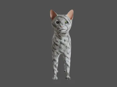 Cat realistic PBR Low-poly 3D model