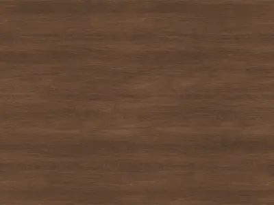 Decorative set fuchsia flower Free 3D model