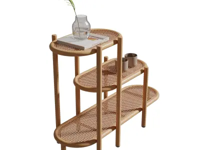 Sage Plant Display Rack 3D model