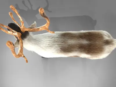 Fur Reindeer Rigged Blender  Low-poly 3D model