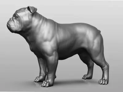 Dog breed collection  8 types of dogs 3D model