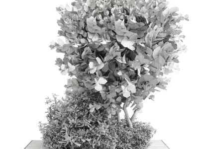 Collection Outdoor plant in garden wood pot 01 3D model