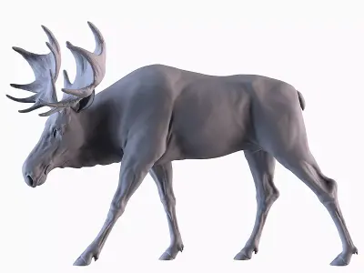 Moose 3D print model
