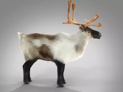 Fur Reindeer NO RIG Low-poly 3D model