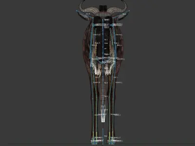 Wildebeest Low-poly 3D model