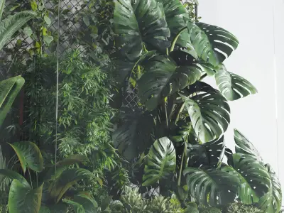 Plants Behind Galss 03 indoor garden Low-poly 3D model