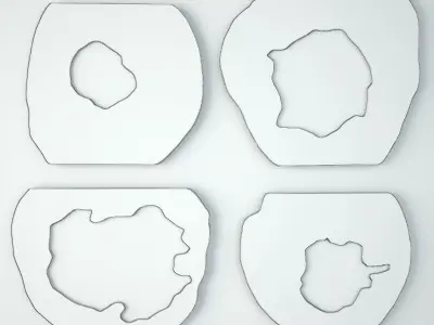 Organic Monkey Pod Mirrors 3 3D model