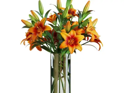 Flower Set 13 - Orange Lilies Bouquet 3D model