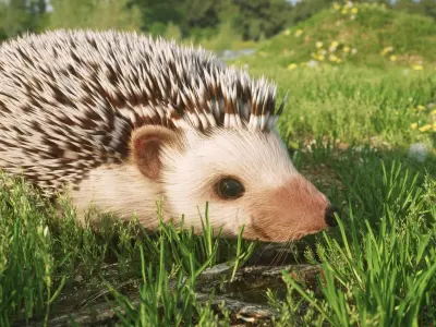 Hedgehog for Vray and Octane 3D model