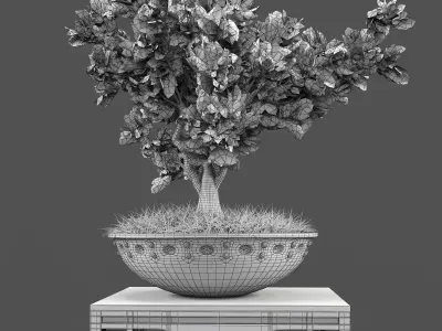 chinese tree plant 3D model