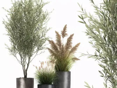 Plants in a black pot for the interior 1051 3D model