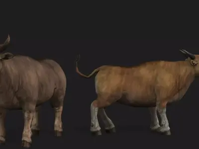 Realistic Cow Bull with Rigged body and Animation Low-poly 3D model
