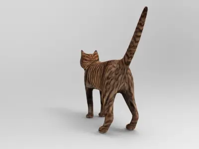 3d Wild Cat model  Low-poly 3D model
