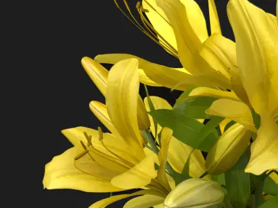Yellow Lily Vase general decor for interior architecture design 3D model