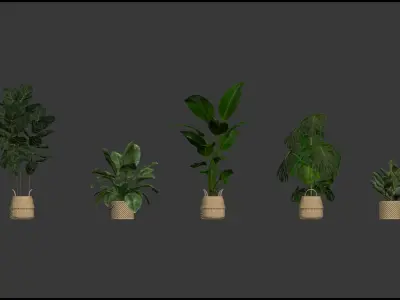20 Photorealistic Flowers for Interiors - set 204 207 209 214 3D Model Collection