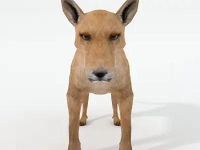 Tasmanian Tiger Low-poly 3D model