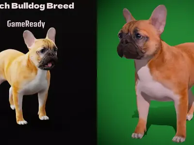 French Bulldog Breed Low-poly 3D model