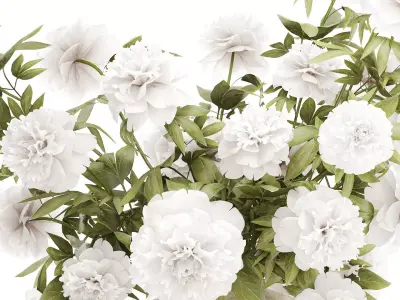 Beautiful lush formal bouquet white flowers peony vase decor 3D model