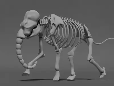 Elephant Skeleton 3D model