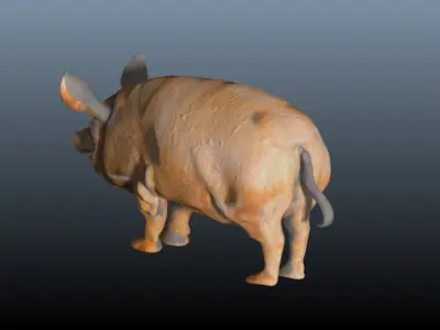 The hog pig 3D model