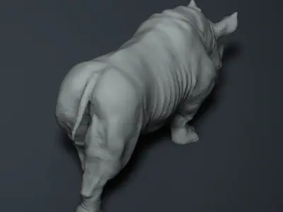 Realistic Rhinoceros High-poly  3D model