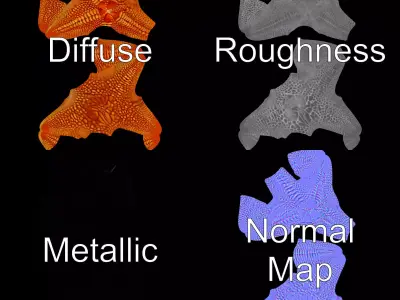 Vibrant Starfish model pack Low-poly 3D model