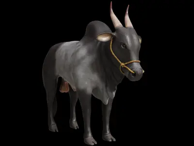 Kangayam Bull Game Ready model  Low-poly 3D model