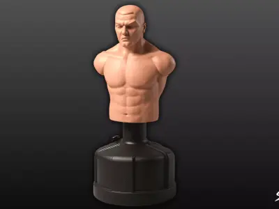 Flesh Punching Dummy Low-poly 3D model
