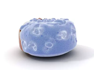 Nutty Festive Cake model pack Low-poly 3D model