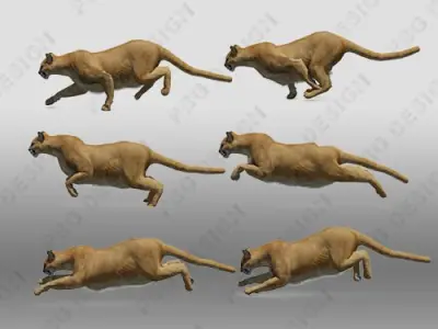Mountain Lion Animated 3D model