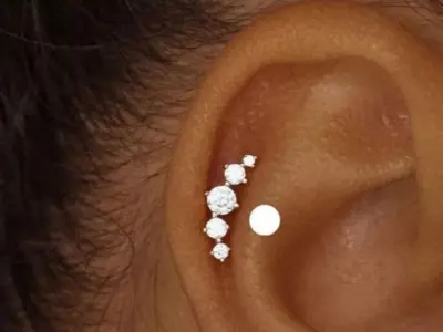 240 Ear decoration 3D print model