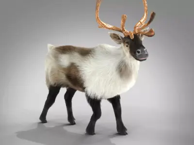 Fur Reindeer Rigged Blender  Low-poly 3D model
